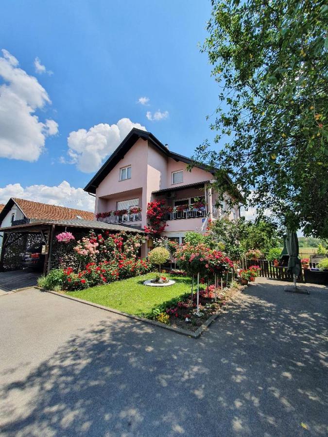 Apartman Vesna Bjelovar Extérieur photo